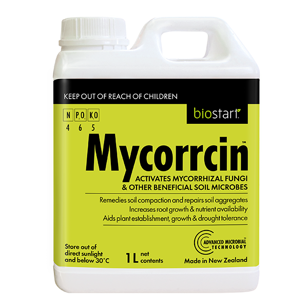 Mycorrcin