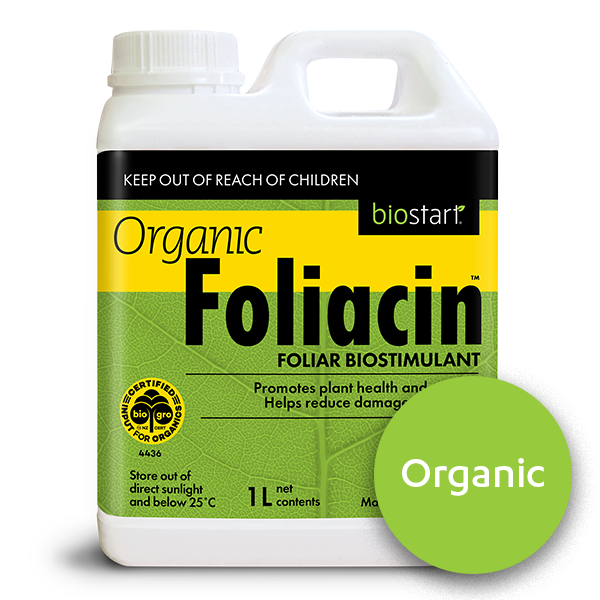 Organic Foliacin